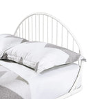 Curved Metal Powder Coated Bed Frame, No Box Spring Needed