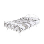 Curved Metal Powder Coated Bed Frame, No Box Spring Needed