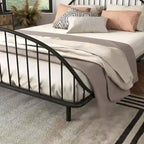 Curved Metal Powder Coated Bed Frame, No Box Spring Needed